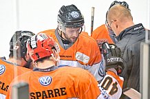 ERC Ingolstadt gegen Grizzlys Wolfsburg Pinguine am 21.12.2018, Spieltag 30