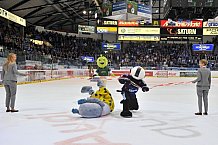ERC Ingolstadt vs Duesseldorfer EG, Eishockey, DEL, Deutsche Eishockey Liga, 11.10.2015
