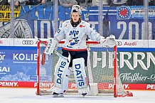 Eishockey, Herren, DEL, Saison 2024-2025, Spieltag 17, ERC Ingolstadt - Adler Mannheim, 17.11.2024