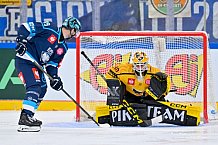 Hockey, Mens, CHL, Season 2025-2026, Regular Season, Game Day 2, ERC Ingolstadt - Kalpa Kuopio, 30.08.2025