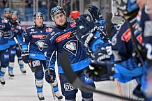 Eishockey, Herren, DEL, Saison 2024-2025, Spieltag 42, ERC Ingolstadt - Kölner Haie, 31.01.2025