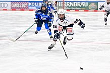 Eishockey, Frauen, DFEL, Saison 2026-2027, ERC Ingolstadt - Eisbären Juniors Berlin, 19.09.2026