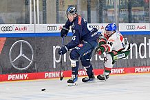 Eishockey, Herren, DEL, Saison 2024-2025, Spieltag 15, ERC Ingolstadt - Augsburger Panther, 03.11.2024