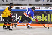 ERC Ingolstadt Legenden vs Sternstunden-Mannschaft, 23.02.2020