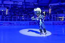 Eishockey, Herren, DEL, Saison 2024-2025, Spieltag 22, ERC Ingolstadt - Düsseldorfer EG, 01.12.2024