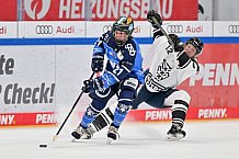 Eishockey, Frauen, DFEL, Saison 2023-2024, ERC Ingolstadt - Amsterdam Tigers, 06.01.2024