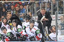 ERC Ingolstadt - Koelner Haie, Eishockey, DEL, Deutsche Eishockey Liga, Spieltag 16, 01.11.2015