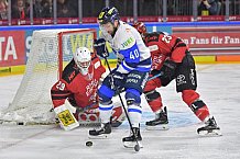 Koelner Haie vs ERC Ingolstadt, DEL, Deutsche Eishockey Liga, Playoffs, Viertelfinale, Spiel 7, 31.03.2019