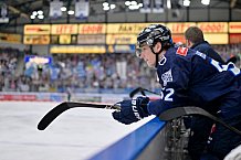 Eishockey, Herren, DEL, Saison 2024-2025, Spieltag 49, ERC Ingolstadt - Straubing Tigers, 28.02.2025