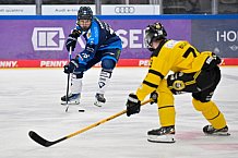 Eishockey, Herren, U20 DNL, Saison 2025-2026, ERC Ingolstadt - Krefeld Pinguine, 10.01.2026
