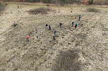 Eishockey, Herren, DEL, Saison 2023-2024, ERC Ingolstadt - Baumpflanzaktion, 03.03.2024