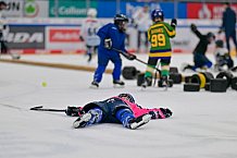 Eishockey, Herren, DEL, Saison 2023-2024, ERC Ingolstadt - Kids on Ice Day, 30.09.2023