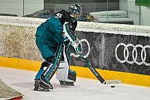 Eishockey, Herren, DEL, Saison 2026-2027, Steinbach Black Wings Linz - ERC Ingolstadt, 23.08.2026