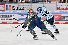 Eishockey, Herren, DEL, Saison 2023-2024, Spieltag 30, ERC Ingolstadt - Straubing Tigers, 23.12.2023