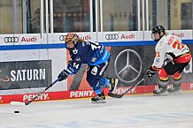 Eishockey, Frauen, DFEL, Saison 2024-2025, ERC Ingolstadt - EC Bergkamener Bären, 12.10.2024