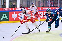 Hockey, Mens, CHL, Season 2025-2026, Regular Season, Round of 16, ERC Ingolstadt - EC Red Bull Salzburg, 12.11.2025