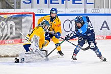 Eishockey, Frauen, DFEL, Saison 2025-2026, Testspiel, ERC Ingolstadt - HC Davos, 14.02.2026