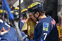 ERC Ingolstadt vs Grizzlys Wolfsburg, Eishockey, DEL, Deutsche Eishockey Liga, 31.01.2016