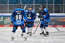 Eishockey, Herren, U20 DNL, Saison 2025-2026, ERC Ingolstadt - ESC Dresden, 14.02.2026