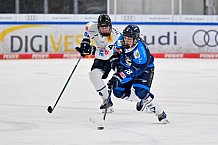 Eishockey, Herren, U20 DNL, Saison 2025-2026, ERC Ingolstadt - ESC Dresden, 14.02.2026