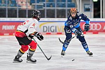 Eishockey, Frauen, DFEL, Saison 2024-2025, ERC Ingolstadt - EC Bergkamener Bären, 04.01.2025