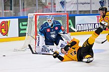 Hockey, Mens, CHL, Season 2025-2026, Regular Season, Game Day 2, ERC Ingolstadt - Kalpa Kuopio, 30.08.2025