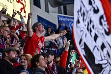 ERC Ingolstadt vs Eisbaeren Berlin am 22.02.2019, Spieltag 49