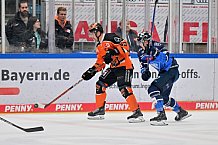Eishockey, Herren, DEL, Saison 2023-2024, Spieltag 5, ERC Ingolstadt - Grizzlys Wolfsburg, 29.09.2023