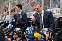 Eishockey, Herren, DEL, Saison 2024-2025, Spieltag 41, ERC Ingolstadt - Eisbären Berlin, 26.02.2025