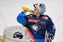 Eishockey, Herren, DEL, Saison 2024-2025, Spieltag 14, ERC Ingolstadt - Löwen Frankfurt, 31.10.2024