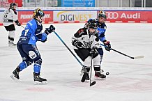 Eishockey, Frauen, DFEL, Saison 2023-2024, ERC Ingolstadt - Amsterdam Tigers, 06.01.2024