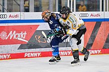 Eishockey, Frauen, DFEL, Saison 2024-2025, ERC Ingolstadt - Mad Dogs Mannheim, 23.11.2024