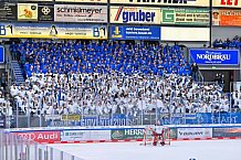 Eishockey, Herren, DEL, Saison 2023-2024, Spieltag 39, ERC Ingolstadt - Iserlohn Roosters, 19.01.2024