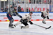 Eishockey, Herren, DEL, Saison 2023-2024, Spieltag 36, ERC Ingolstadt - Kölner Haie, 07.01.2024