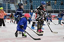 Eishockey, Herren, DEL, Saison 2024-2025, ERC Ingolstadt - Kids On Ice Day, 11.01.2025