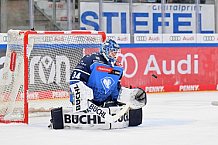 Eishockey, Herren, DEL, Saison 2023-2024, Spieltag 16, ERC Ingolstadt - Grizzlys Wolfsburg, 01.11.2023