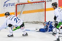 ERC Ingolstadt - Straubing Tigers, Eishockey, DEL, Deutsche Eishockey Liga, Spieltag 16, 24.01.2017