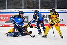Eishockey, U20, DNL, Saison 2024-2025, ERC Ingolstadt - Krefelder EV 81, 01.03.2025