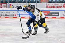 Eishockey, Frauen, DFEL, Saison 2023-2024, ERC Ingolstadt - Mad Dogs Mannheim, 18.02.2024