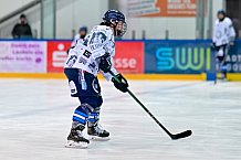 Eishockey, Frauen, DFEL, Saison 2025-2026, ERC Ingolstadt - ECDC Memmingen Indians, 25.01.2026