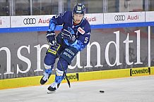 ERC Ingolstadt vs Grizzlys Wolfsburg, DEL, Deutsche Eishockey Liga, Spieltag 19, 17.11.2019