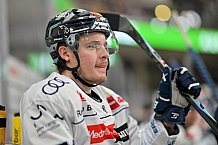 Eishockey, Herren, DEL, Saison 2023-2024, Spieltag 31, Nürnberg Ice Tigers - ERC Ingolstadt, 26.12.2023