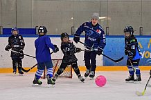 Eishockey, Herren, DEL, Saison 2021-2022, ERC Ingolstadt - Kids on Eis Day, 06.11.2021