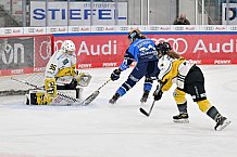 Eishockey, Frauen, DFEL, Saison 2023-2024, ERC Ingolstadt - Mad Dogs Mannheim, 18.02.2024