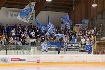 Eishockey, Herren, DEL, Saison 2024-2025, ERC Ingolstadt - Iserlohn Roosters, 23.08.2024