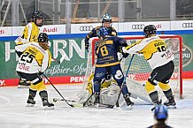Eishockey, Frauen, DFEL, Saison 2022-2023, ERC Ingolstadt - Mad Dogs Mannheim, 20.11.2022