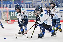 Eishockey, Herren, DEL, Saison 2024-2025, Spieltag 26, ERC Ingolstadt - Iserlohn Roosters, 15.12.2024