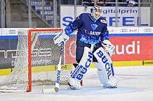 ERC Ingolstadt vs Eisbären Berlin, DEL, Deutsche Eishockey Liga, Spieltag 11, 13.10.2019