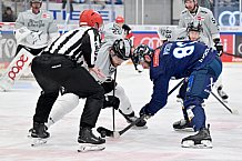 Eishockey, Herren, DEL, Saison 2024-2025, Playoffs Halbfinale, Spiel 5, ERC Ingolstadt - Kölner Haie, 11.04.2025