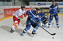 ERC Ingolstadt vs Duesseldorfer EG, Eishockey, DEL, Deutsche Eishockey Liga, Spieltag 19, 18.11.2016